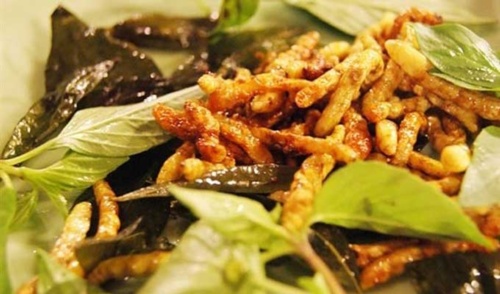 Bamboo worm, the unique food of Muong people in Thanh Hoa