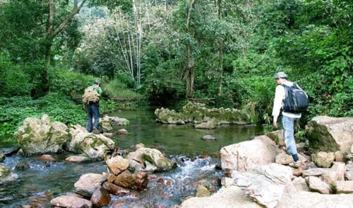 Xuan Son National Park - A destination of ecological interest