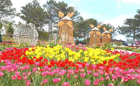 Myriad activities to be held during Da Lat tourism week