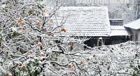 Tourists flock to see rare sight of snow in Sa Pa