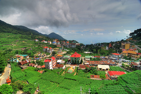 Tam Dao – the attraction from the familiar name