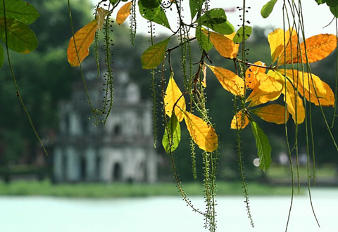 Hanoi in the fall1