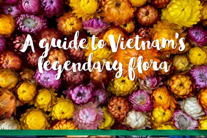 A guide to Vietnam