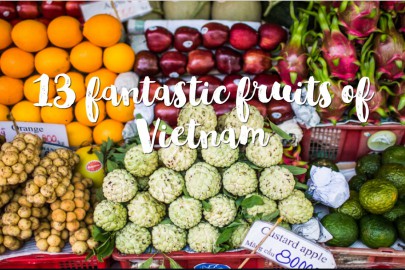 13 fantastic fruits of Vietnam
