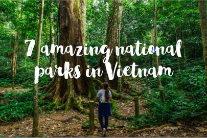 7 amazing national parks in Vietnam