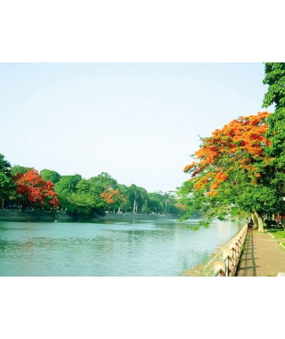Red River Delta