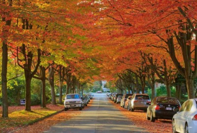 Đừng bỏ lỡ du lịch mùa thu Canada – mùa đẹp nhất trong năm