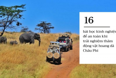 16 bài học kinh nghiệm để khám phá thế giới động vật hoang dã châu Phi an toàn
