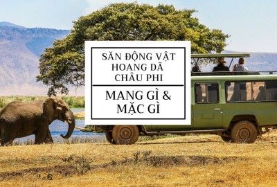 Mang gì và mặc gì khi đi thăm động vật hoang dã Châu Phi?