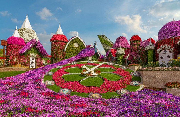 MIRACLE GARDEN DUBAI (VƯỜN HOA TỰ NHIÊN LỚN NHẤT THẾ GIỚI)