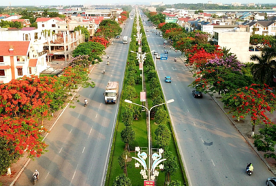 Red blossoms light up northern Vietnam city