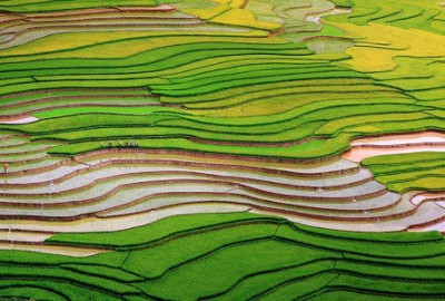 Scintillating sight: waterlogged fields in Vietnam’s northern highlands