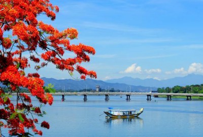 Flamboyant blooms paint the town red in Hue