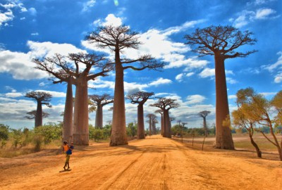 Hòa mình vào với thiên nhiên hùng vỹ Madagascar – một trong bốn hòn đảo lớn nhất thế giới