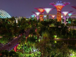 HANOI - SINGAPORE - RESORT WORLD SENTOSA - GARDEN BY THE BAY - JEWEL - HANOI (Flying Vietnam Airlines)