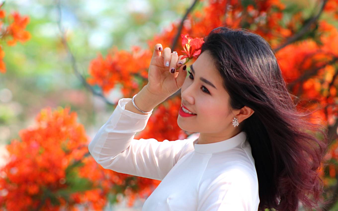 Red blossoms light up northern Vietnam city - 4