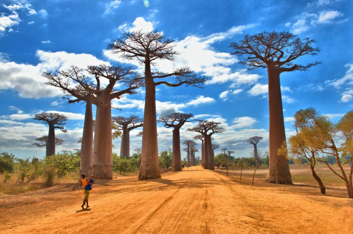 kinh nghiệm du lịch Madagascar